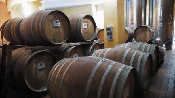 Botti Legno Cantina Vino Cognac Whisky Brandy Magazzino Botti Legno — Video Stock