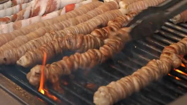 구이에 Shashlik Shish 클로즈업 돼지고기와 닭고기에서 꼬치에 고품질 — 비디오