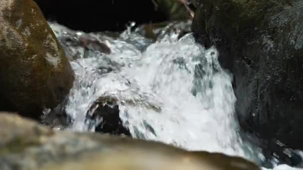 Creek Patak Vagy Kicsi Gyors Hegyi Folyó Kristálytiszta Folyóvíz Közelkép — Stock videók