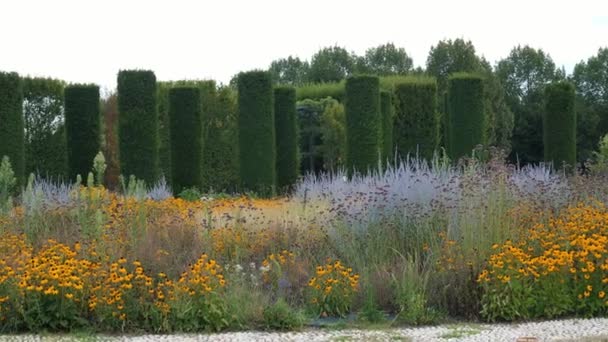 Jardín Diseño Paisaje Una Amplia Variedad Flores Manicured House Garden — Vídeos de Stock