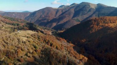 İtalya, Alpler 'de hava manzarası. Ağacın yapraklarının kırmızı, turuncu ve sarı tonlarını sergilediği sonbahar dağ manzarası. Yüksek kalite 4k görüntü