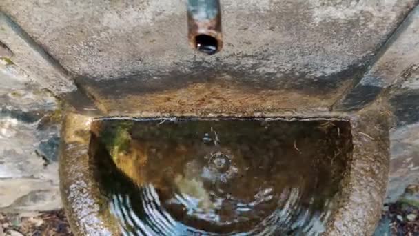 金属製のタップからの泉水の源 クローズアップ トップビュー ヨーロッパの森に流れる水を飲むこと 高品質の4K映像 — ストック動画