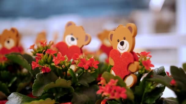 Valentin Nap Közelkép Sok Dekoratív Plüssmackó Játékok Egy Virágcserépben Mint — Stock videók