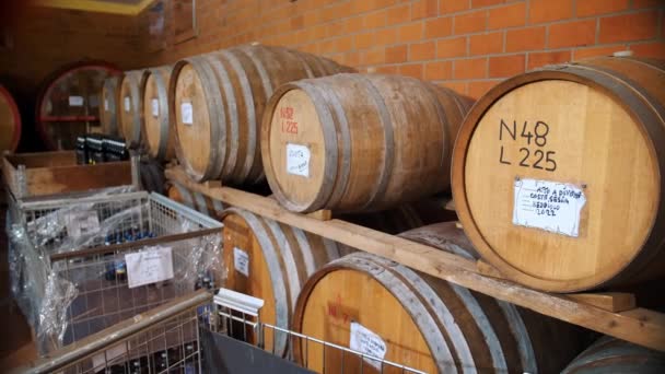 Wine Warehouse Wine Cognac Whiskey Brandy Warehouse Wooden Barrels Wine — Stock Video