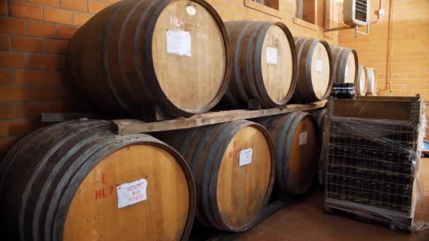 Drewniane Beczki Winiarnia Wino Koniak Whiskey Lub Magazyn Brandy Drewniane — Wideo stockowe