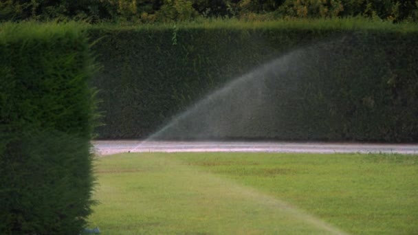 Irrigação Grama Jardim Jardim Inteligente Sistemas Irrigação Trabalhando Parque Verde — Vídeo de Stock