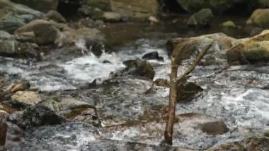 Deresi, deresi ya da küçük ve hızlı bir dağ nehri ve kristal berrak akan su. Yakın plan. Kaynak, kaynak suyu. Yaz günü. Su taşların, dağların ve ormanların üzerinden akar.
