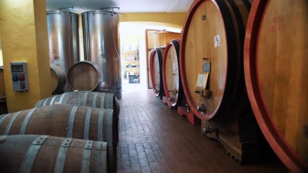 意大利 2023年9月23日 葡萄酒 白兰地 威士忌或白兰地仓库 在葡萄酒仓库 酒窖或储存处 装有葡萄酒的木制桶成排地堆放着 传统的小 — 图库视频影像