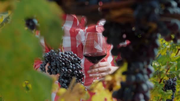 Agricultora Sostiene Gran Racimo Uvas Negras Una Copa Vino Tinto — Vídeo de stock