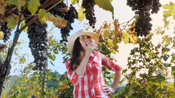 Sommelier Vrouwelijke Boer Wijnmaker Houdt Een Glas Rode Wijn Haar — Stockvideo