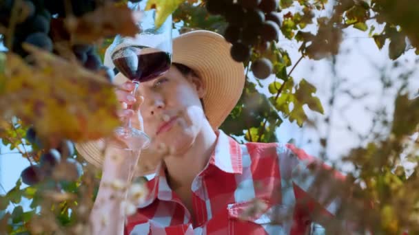 Sommelier Vigneronne Tient Verre Vin Rouge Dans Ses Mains Apprécie — Video