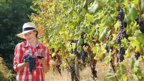 Vrouwelijke Boer Heeft Een Grote Bos Zwarte Druiven Een Glas — Stockvideo