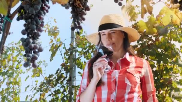 Σόμελιερ Γυναίκα Αγρότης Οινοποιός Κρατά Ένα Ποτήρι Κόκκινο Κρασί Στα — Αρχείο Βίντεο