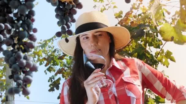 Sommelier Kadın Çiftçi Şarap Üreticisi Elinde Bir Bardak Kırmızı Şarap — Stok video