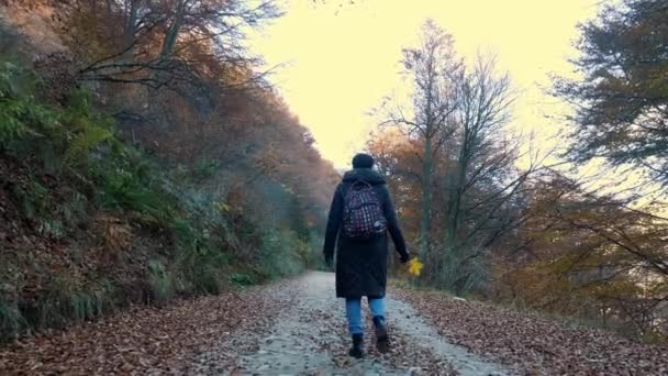 Dağlarda Sonbahar Bir Kız Sırt Çantalı Bir Yürüyüşçü Talya Nın — Stok video