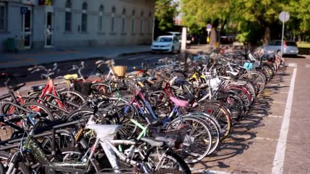 在一个繁华的城市街道上 大量的自行车被生动地展示出来 在一个阳光充足的日子里 自行车作为一种环保的城市交通方式的流行 — 图库视频影像