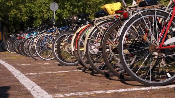 Barisan Berbagai Sepeda Diparkir Dengan Rapi Sebuah Stasiun Sepeda Luar — Stok Video