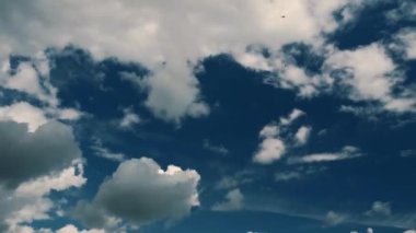 Zaman Ayarı Videosu. Mavi Gök Beyaz Bulutları. Yumuşak Beyaz Bulutlar. Kümülüs Bulut Zaman Çizelgesi. Yaz Mavi Gökyüzü Zaman Çizelgesi. Mavi Gökyüzü Manzarası. Beyaz Bulutlar Doğa. Bulut Zamanaşımı Arkaplanı. 4 bin. Yüksek kalite