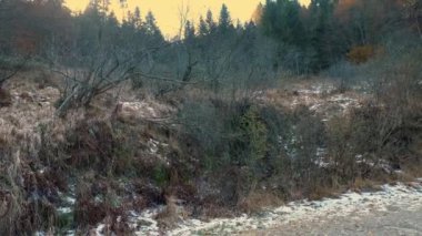 İtalya, Alpler 'de sonbaharın sonlarında. Karda yaprakları dökülmüş ağaçlar. Frost ve çimlerin üzerindeki ilk kar. Yüksek kalite 4k görüntü