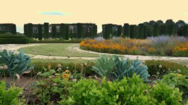 Bahçe. Peyzaj tasarımı. Çok çeşitli çiçekler. (Bu cennetler) orada her yıl iki cennet var. Orada her iki cennet de çeşit güzel bahçeler var. Yüksek kalite 4k görüntü