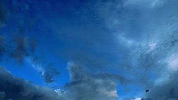 Timelapse Vidéo Ciel Bleu Nuages Blancs Nuages Blancs Moelleux Cumulus — Video