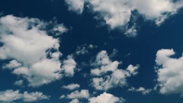 Timelapse Vidéo Ciel Bleu Nuages Blancs Nuages Blancs Moelleux Cumulus — Video