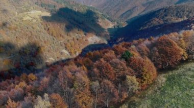 İtalya, Alpler 'de hava manzarası. Ağacın yapraklarının kırmızı, turuncu ve sarı tonlarını sergilediği sonbahar dağ manzarası. Yüksek kalite 4k görüntü