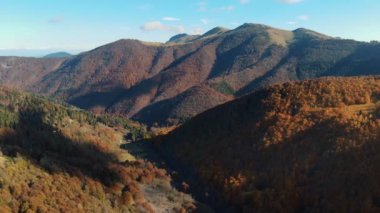 İtalya, Alpler 'de hava manzarası. Ağacın yapraklarının kırmızı, turuncu ve sarı tonlarını sergilediği sonbahar dağ manzarası. Yüksek kalite 4k görüntü