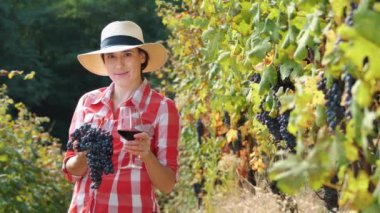 Kadın çiftçi, üzüm bağının ortasında elinde büyük bir demet siyah üzüm ve bir bardak kırmızı şarap tutuyor. Sarmaşıkta, güneşin ışınlarında olgunlaşmış siyah üzümlerden oluşan büyük bir demet. Üzüm