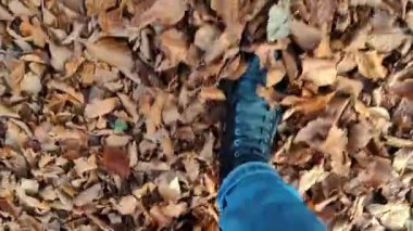 Botlu bir kadın sonbahar parkında yürüyor, Alplerdeki orman. İlk bakış açısı. Orman yolu boyunca düşen yaprakların üzerinde yürüyen çizmeli kadın bacakları. Yüksek kalite 4k görüntü