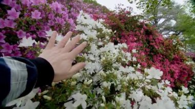 Doğayla olan kişisel etkileşimi vurgulayan, canlı bahar çiçeklerine uzanan bir elin yakın plan görüntüsü.