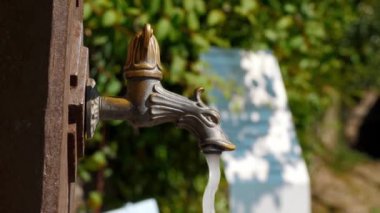 Paslı metal bir plakaya monte edilmiş süslü, kaliteli pirinç bir musluğun yakından görüntüsü, bahçenin yemyeşil yeşiliyle çevrili, detaylara ve dokulara vurgu yapıyor.