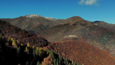 İtalya, Alpler 'de hava manzarası. Ağacın yapraklarının kırmızı, turuncu ve sarı tonlarını sergilediği sonbahar dağ manzarası. Yüksek kalite 4k görüntü