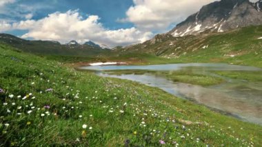 Berrak kır çiçekleriyle yemyeşil çayır, berrak mavi gökyüzünün altında pürüzsüz tepelerle çevrili sakin bir dağ gölüne götürür. Alplerde huzurlu bir yazın özünü yakalar.