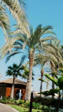 DUBAI, BİRLİK ARAB EMIRATES, BAE - 10 Mayıs 2017: DUBAI, BİRLİK ARAB EMIRATES, BAE - 10 Mayıs 2017: Jumeirah Al Qasr Madinat, bir otobüsle otelin etrafında dolaşın