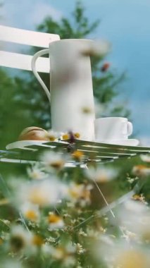 Papatya arasında çim, mavi gökyüzü beyaz bir sandalyem. Üzerinde bir beyaz beyaz bir sürahi bir kompozisyon fincan çay, bir toplu iş ve chamomiles bir buket ile.