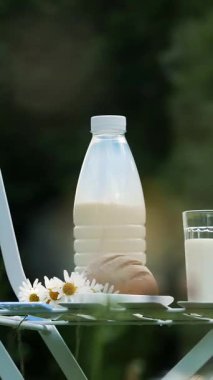 Bir papatya çim ortasında beyaz bir sandalyenin üstüne bir şişe süt, orada da bir bardak süt ve ekmek. Yakın chamomiles bir buket değil