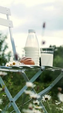 Bir papatya çim ortasında beyaz bir sandalyenin üstüne bir şişe süt, orada da bir bardak süt ve ekmek. Yakın chamomiles bir buket değil