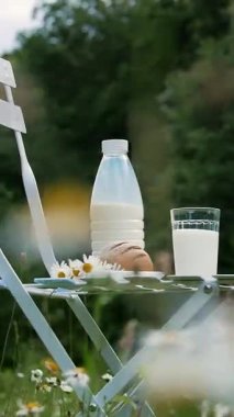 Bir papatya çim ortasında beyaz bir sandalyenin üstüne bir şişe süt, orada da bir bardak süt ve ekmek. Yakın chamomiles bir buket değil