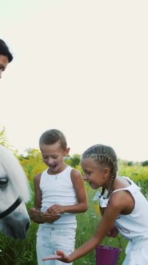 Çocuklar, bir erkek ve bir kız yedi yıl, beyaz bir midilli hediye beslenen havuç yemek ver. Neşeli, mutlu aile tatili. Forest yakınındaki yaz aylarında açık havada