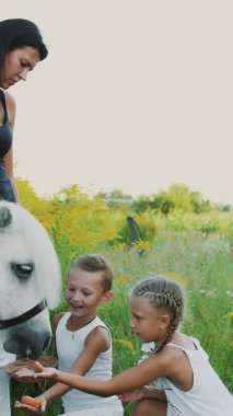 Çocuklar, bir erkek ve bir kız yedi yıl, beyaz bir midilli hediye beslenen havuç yemek ver. Neşeli, mutlu aile tatili. Forest yakınındaki yaz aylarında açık havada