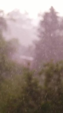 Büyük yağmur damlalarına odaklan, şehir parkı, ilkbahar günü, şehirdeki fırtına, güçlü rüzgar ve yağmur, dolu yağan sağanak. Rüzgarın güçlü rüzgarları. Yukarıdan görüntüle.