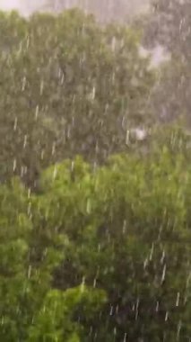 Büyük yağmur damlalarına odaklan, şehir parkı, ilkbahar günü, şehirdeki fırtına, güçlü rüzgar ve yağmur, dolu yağan sağanak. Rüzgarın güçlü rüzgarları. Yukarıdan görüntüle.