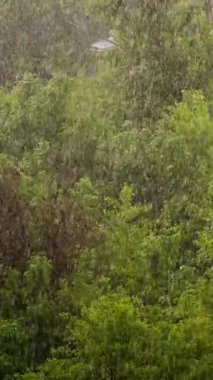 Büyük yağmur damlalarına odaklan, şehir parkı, ilkbahar günü, şehirdeki fırtına, güçlü rüzgar ve yağmur, dolu yağan sağanak. Rüzgarın güçlü rüzgarları. Yukarıdan görüntüle.