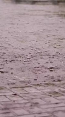 Sağanak yağmur, duş, büyük damlalar sokak fayanslarına damlıyor. Islak zemine yağmur damlası, asfalta şiddetli yağmur damlaları. Şiddetli yağmur altında su birikintileri