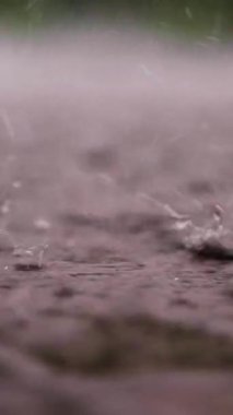 Şiddetli yağmur damlaları, yağmur, duş, bir spreyle düşme, su damlaları, su birikintilerinin ıslak yüzeyine, suyun yüzeyine. Islak zeminde yağmurdan büyük damlalar