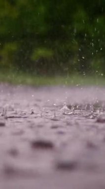 Şiddetli yağmur damlaları, yağmur, duş, bir spreyle düşme, su damlaları, su birikintilerinin ıslak yüzeyine, suyun yüzeyine. Islak zeminde yağmurdan büyük damlalar