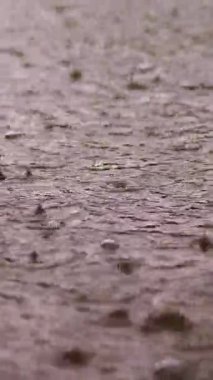 yakın çekim, büyük, ağır damla yağmur, yağış, duş, sonbahar su sıçramalarına, kabarcıklar, su birikintileri, ıslak yüzeyinde su yüzeyine. büyük ıslak zemin dokusu üzerinde yağmur damlaları