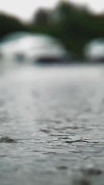 Yağmur, su birikintileri. Yağmur yağıyor. Su damlaları. Yağmur fırtınası. Şiddetli yağmur damlaları, yağmur fırtınası sırasında su birikintilerine ve kabarcıklara düşer. Yakın plan. Şiddetli yağmur yağıyor..