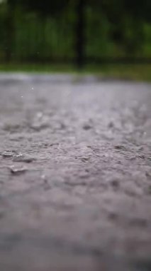 Yağmur, su birikintileri. Yağmur yağıyor. Su damlaları. Yağmur fırtınası. Şiddetli yağmur damlaları, yağmur fırtınası sırasında su birikintilerine ve kabarcıklara düşer. Yakın plan. Şiddetli yağmur yağıyor..